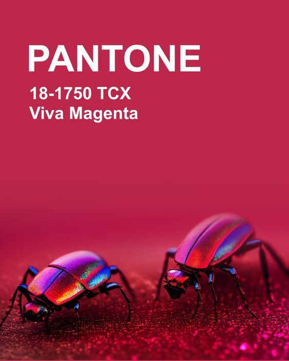 Viva Magenta - Farbe des Jahres 2023