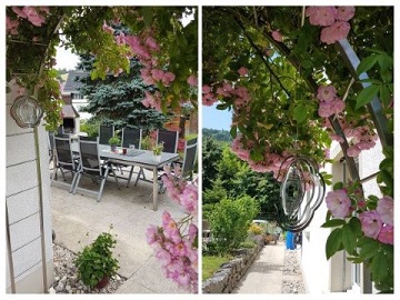 Rosenbogen Collage fengshuiaargau