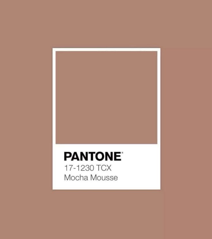Pantone Farbe des Jahres 2025 - Mocca Mousse – Farbgenuss mit Schokoladenduft