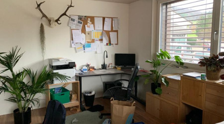 fengshui-aargau-projekt-vorher01