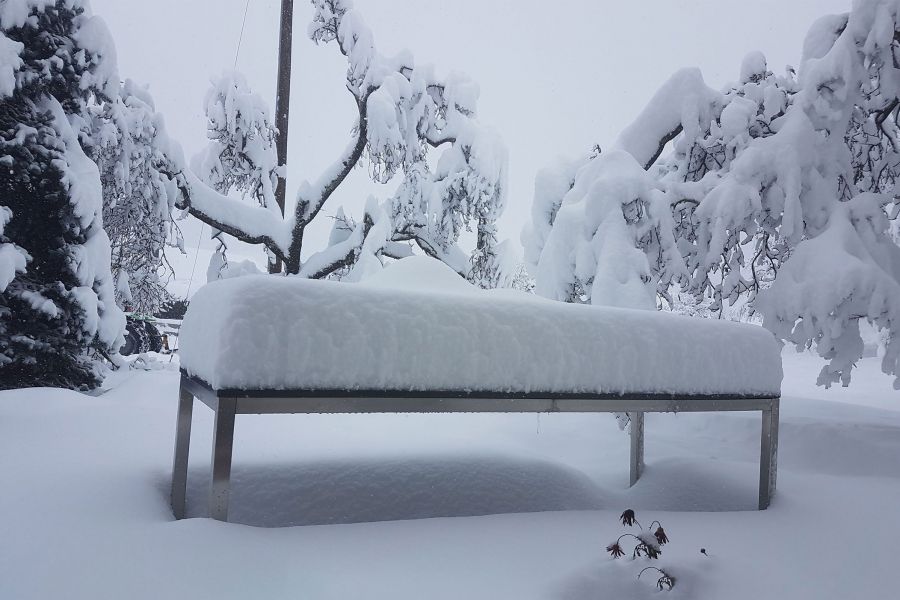 garten-feng-shui-aargau-winterzeit web1